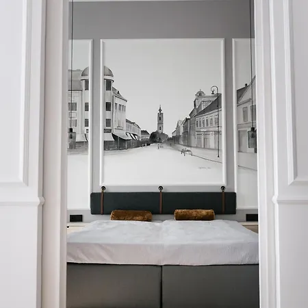 Schreyer Апартаменты Надьканижа